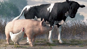 Животноводство