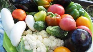 овощеводство